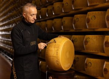 Parmigiano Reggiano: Inizio della Battitura per il Controllo della Qualità