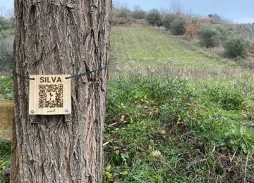 Un albero per ogni dipendente: nasce il Bosco Intecs in Abruzzo