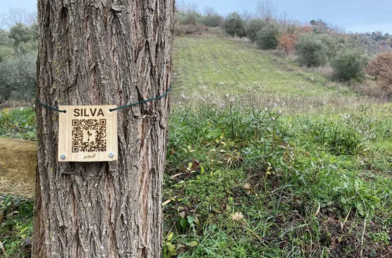 Un albero per ogni dipendente: nasce il Bosco Intecs in Abruzzo