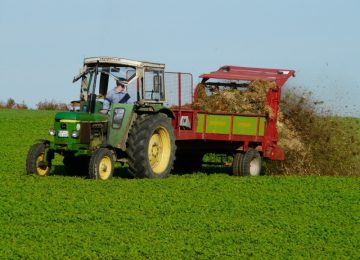 Aumento della disoccupazione agricola: a Pistoia nel 2023 +10%, stabile il dato regionale (+1%)