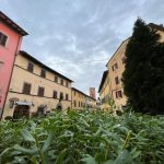 Benedizione degli Animali nel Centro di Montopoli