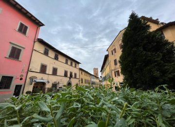 Benedizione degli Animali nel Centro di Montopoli