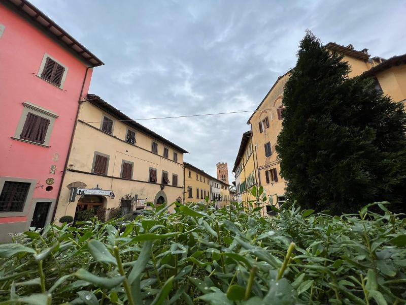 Benedizione degli Animali nel Centro di Montopoli