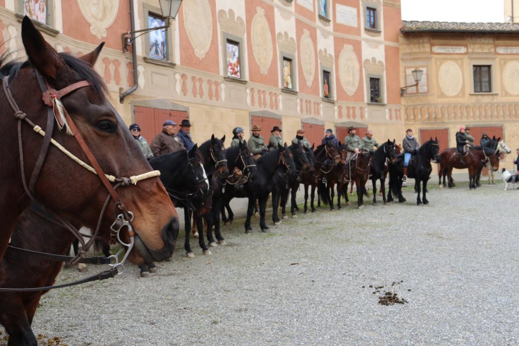 Cavalli e animali a quattro zampe in piazza a San Miniato e Montopoli: grande successo per la benedizione degli animali.