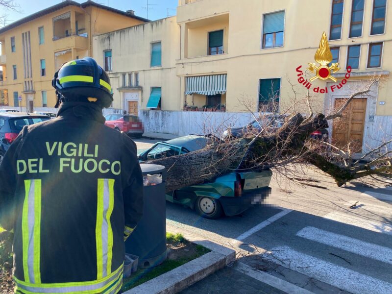 Cade un albero su un'auto parcheggiata a Fucecchio: tragedia sfiorata