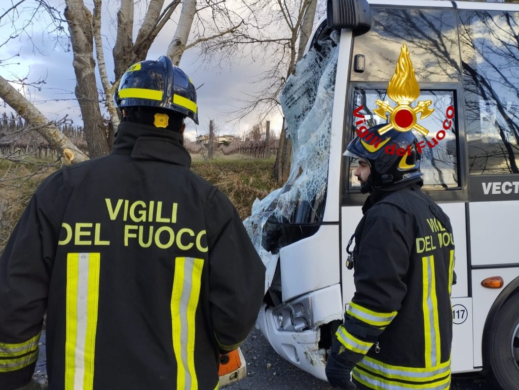 Cade un albero sullo scuolabus