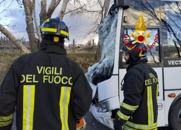 Cade un albero sullo scuolabus