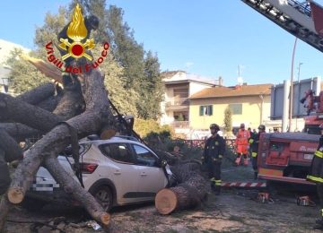 Cade un grande pino su un'auto a Scandicci, danneggiati anche due tetti