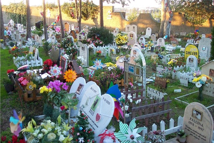 È scomparso Luigi Molon, custode del cimitero degli animali con i gatti di Anna Magnani e il cane di Pertini