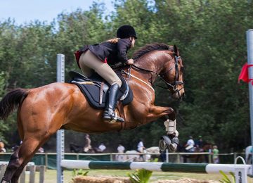 Equitazione: il Consiglio regionale ha assegnato un premio a Marco Di Paola e Stefano Serin