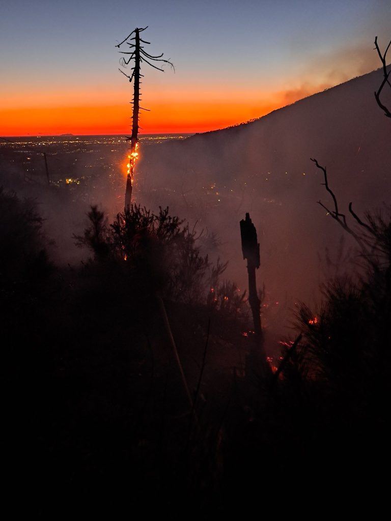 Incendio alle pendici del Monte Serra