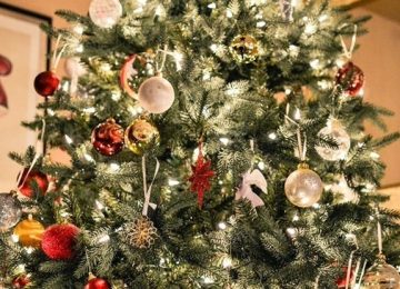 Inizia la raccolta degli alberi di Natale: come smaltirli correttamente? ALIA risponde alle tue domande.