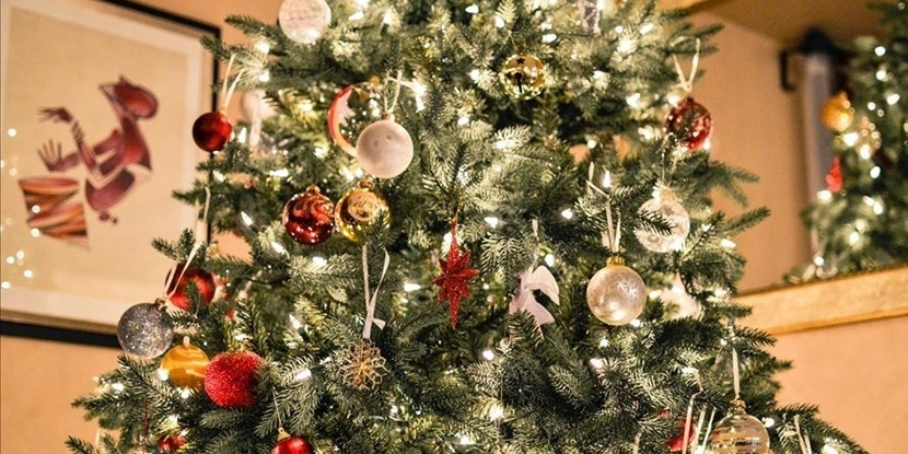 Inizia la raccolta degli alberi di Natale: ecco come smaltirli correttamente. ALIA risponde!