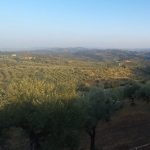 La Toscana Diffusa diventa legge: Giani dichiara 'Valorizza due terzi dei comuni della regione'