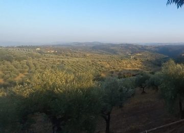 La Toscana Diffusa diventa legge: Giani dichiara 'Valorizza due terzi dei comuni della regione'