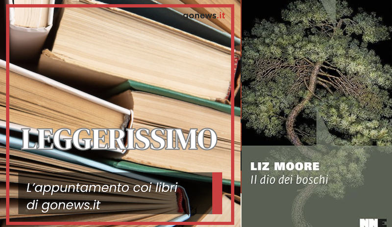 Leggerissimo: "Il dio dei boschi" di Liz Moore.