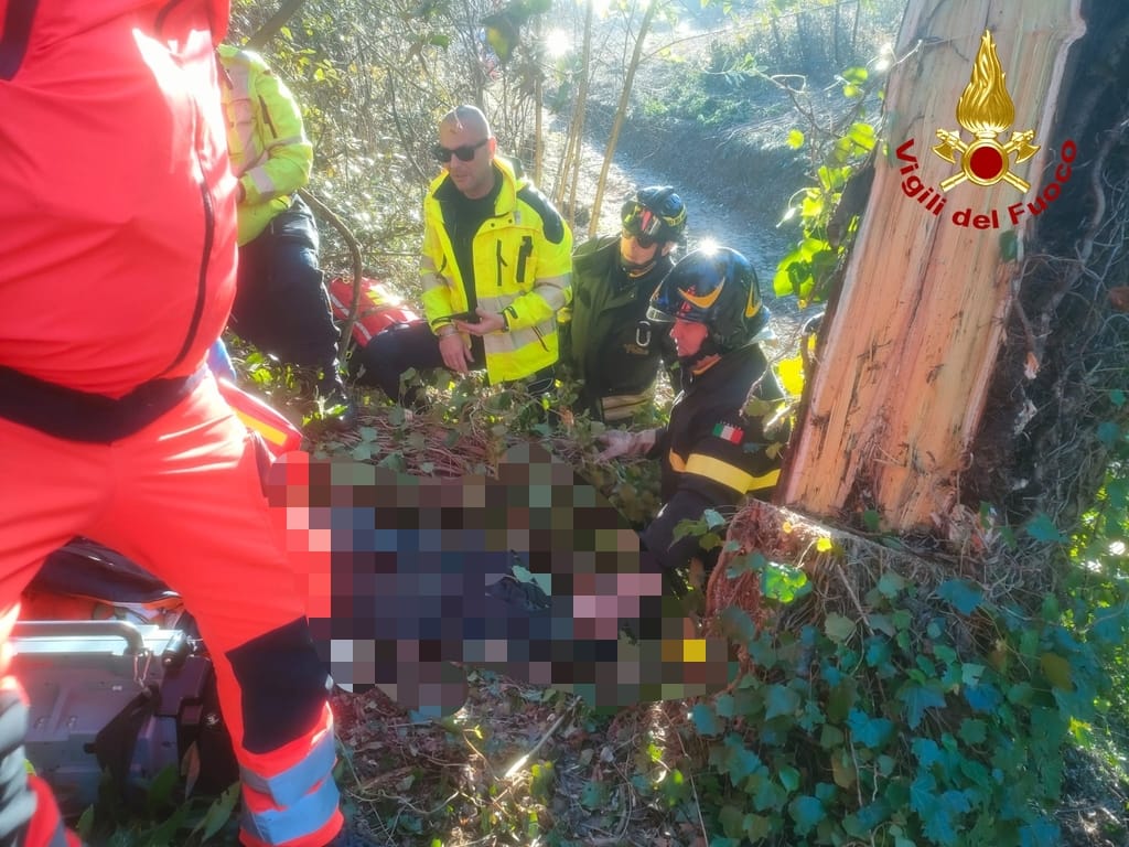 Operaio perde la vita colpito da un albero durante i lavori di abbattimento.