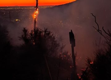 Parte del bosco sul Monte Serrato in fiamme