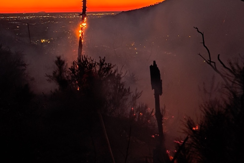 Parte del bosco sul Monte Serrato in fiamme