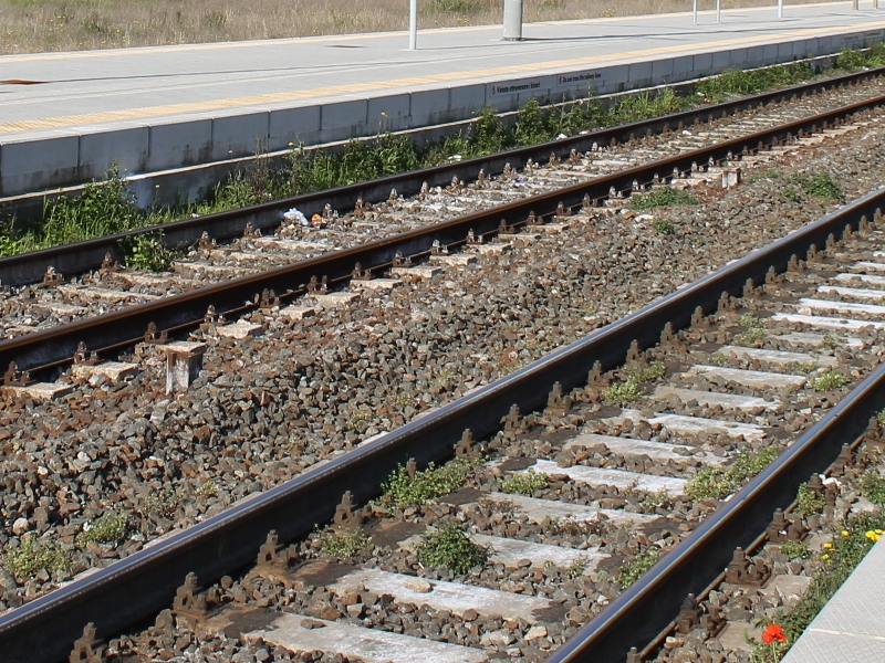 Persone in prossimità dei binari, rallentamenti nel traffico ferroviario nei pressi di Firenze.