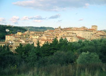 Pineta di Marina di Bibbona: partono i lavori di riqualificazione