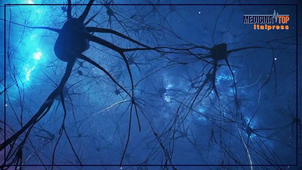 Curiosità e movimento: il segreto per mantenere il cervello "giovane"