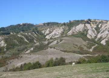 A Santa Maria a Monte, il giallo di Toiano: il libro sulla bella Elvira