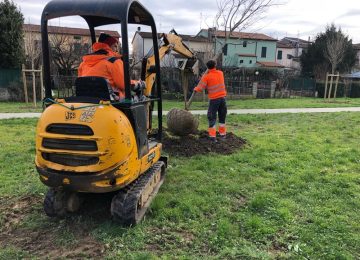 Bonelle 80: 28 nuovi alberi e 12 panchine. Il sindaco: "L'obiettivo è riqualificare l'intera area"