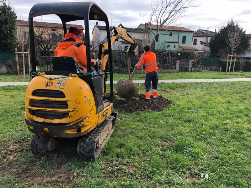 Bonelle 80: 28 nuovi alberi e 12 panchine. Il sindaco: "L'obiettivo è riqualificare l'intera area"