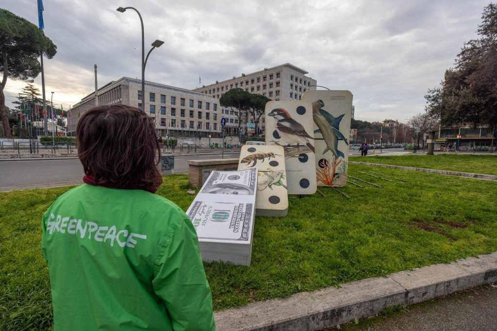 Cop16 a Roma: Greenpeace in azione