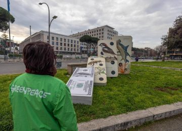 Cop16 a Roma: Greenpeace in azione