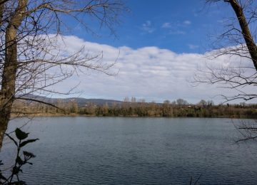 Biodiversità: 20 milioni di euro dalla Regione, fondi anche per Empoli