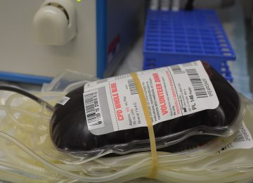 Livorno: Parte il servizio civile con Avis Toscana, disponibili 6 posti per promuovere la donazione di sangue.