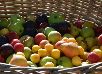 L'ortofrutta si rivela un centro di traffico di cocaina: arresto a Livorno