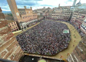 Palio di Siena: la Giunta nomina il veterinario comunale e la Commissione veterinaria