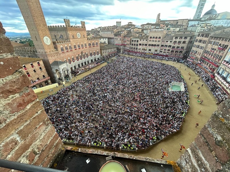 Palio di Siena: la Giunta nomina il veterinario comunale e la Commissione veterinaria