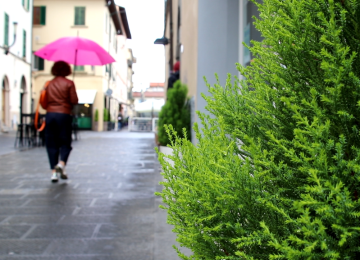 Pioggia: codice giallo esteso su gran parte della Toscana