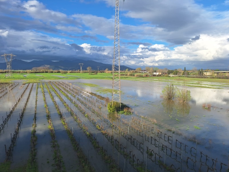 Agriturismi isolati, frane e campi allagati: Coldiretti Toscana dichiara "Stiamo valutando i danni"