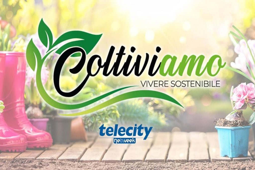 ColtiviAmo: su Telecity debutta un programma dedicato al mondo green