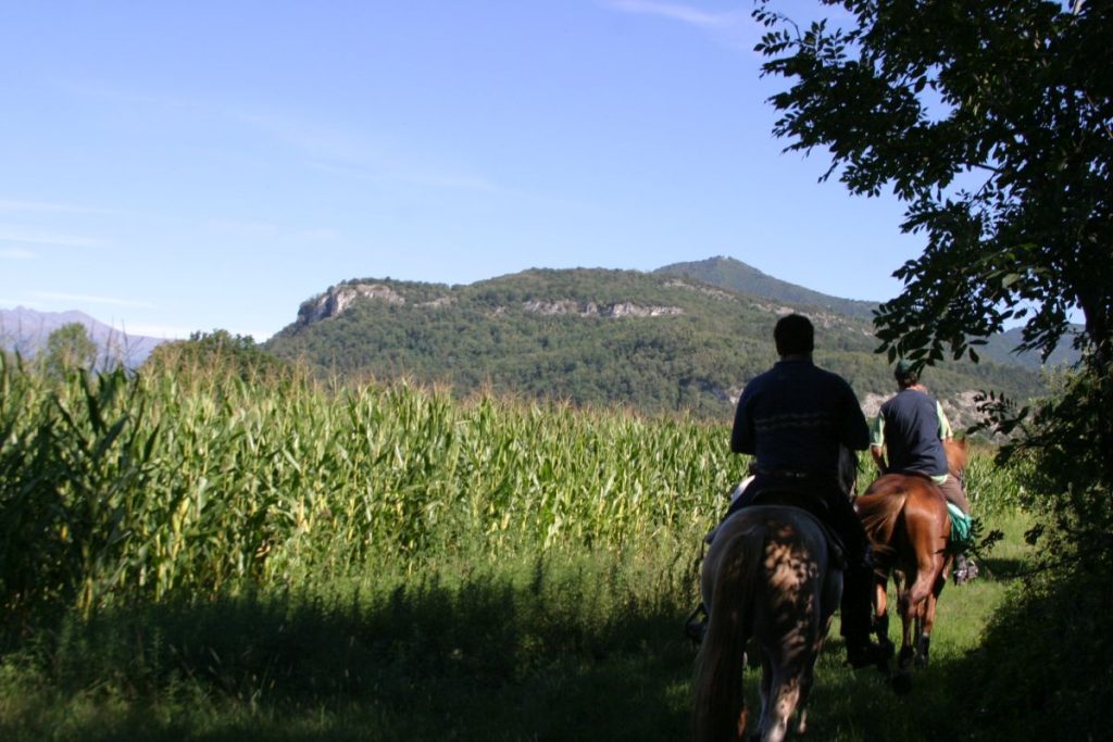 Confagricoltura: Inizia a Varese il Pellegrinaggio Equestre per il Giubileo