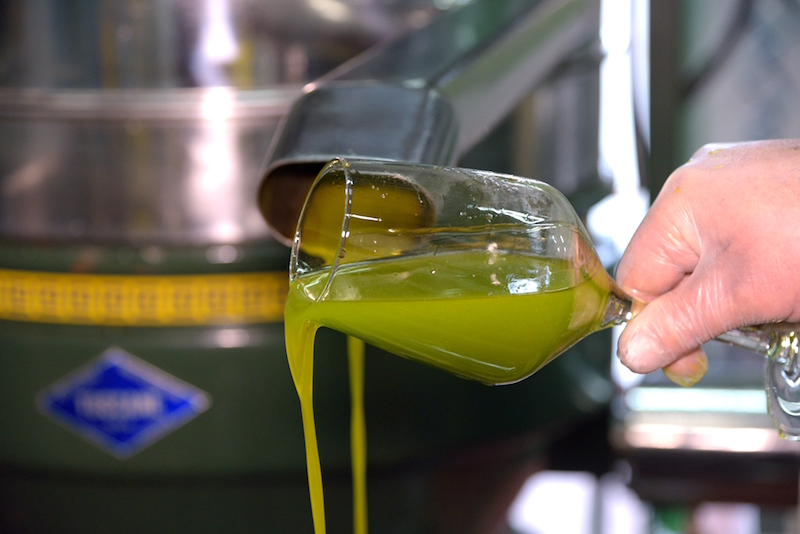 Consorzio per la Tutela dell'Olio Lucca DOP mira al riconoscimento
