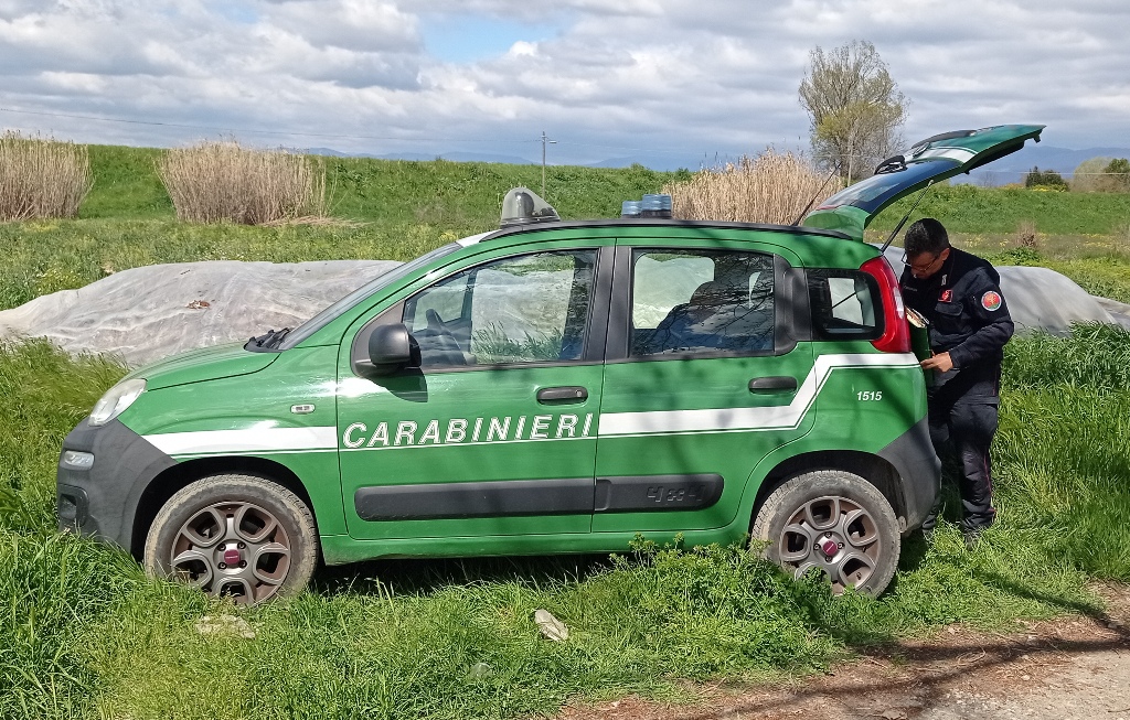 Controlli dei Carabinieri Forestali nel Pisano: Multe e Denunce