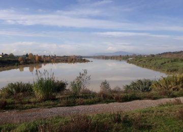 Convegno al bacino di Roffia in occasione della Giornata dell'Acqua