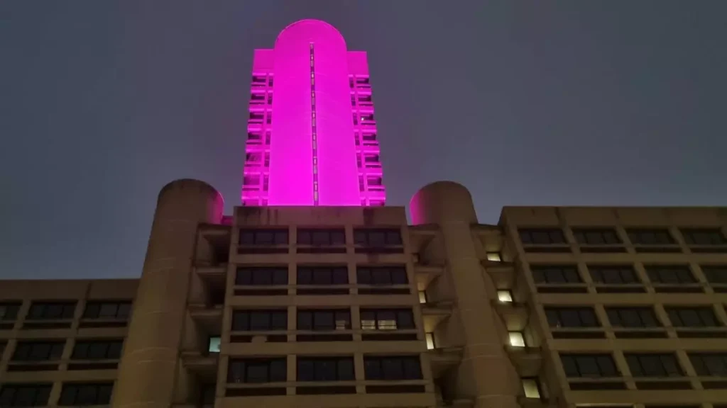 Emilia-Romagna: la Torre dell'Assemblea Legislativa si illumina di viola per la Giornata di Sensibilizzazione contro il Papilloma Virus