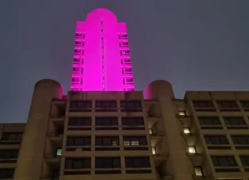 Emilia-Romagna: la Torre dell'Assemblea Legislativa si illumina di viola per la Giornata di Sensibilizzazione contro il Papilloma Virus