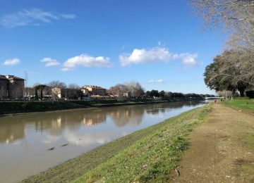 Esplorando il Parco delle Cascine: passeggiata con i ricercatori di Unifi per scoprire alberi e piante.
