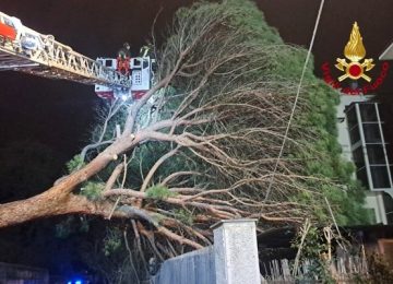 Firenze, caduta di un pino in Via Gabriele d’Annunzio. Strada chiusa.