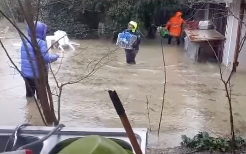 Gattile di Empoli colpito dall’alluvione, avviata la raccolta fondi: "Struttura devastata. Abbiamo bisogno del vostro aiuto"