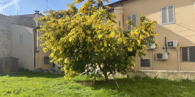 Il CRS celebra le donne offrendo mimose a km zero