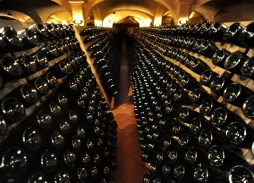 Il Lazio si trasforma in hub vinicolo per il Centro Italia il 24 e il 25 marzo